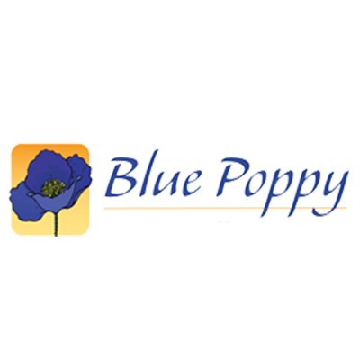 Blue-Poppy